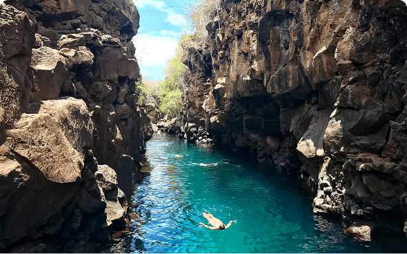 Person swimming in clear blue water