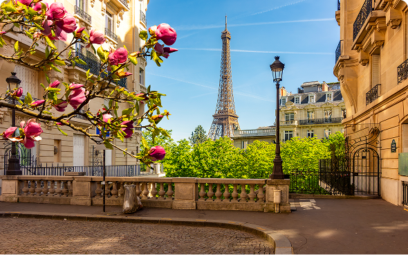 Eiffel Tower framed by blooming flowers