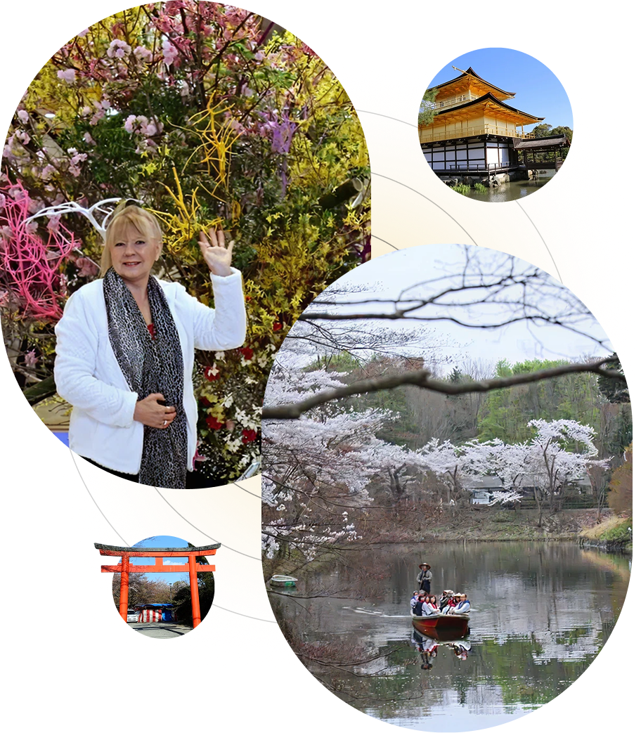 Scenic Japanese garden with cherry blossoms