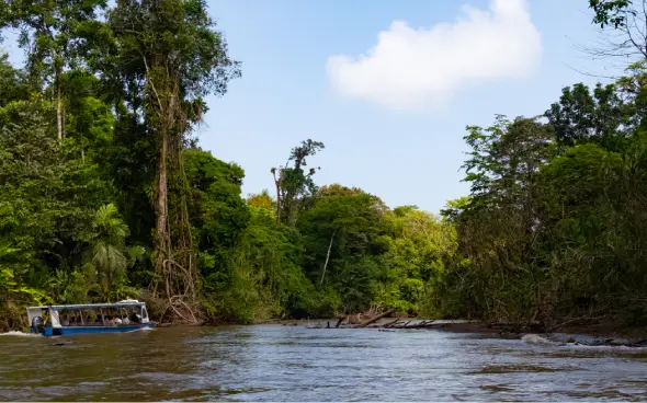 Boat cruising through lush green riverbank scenery.