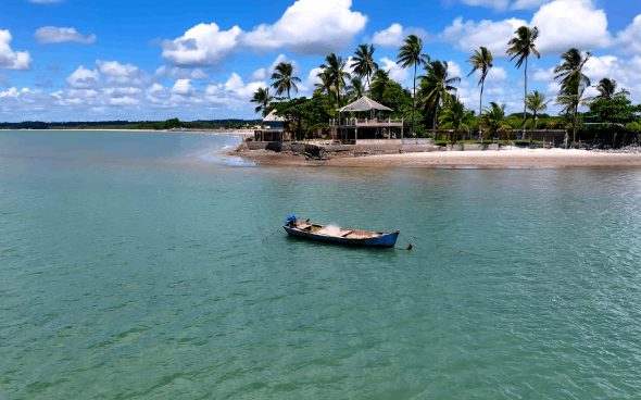 Boat on turquoise water near palm trees.